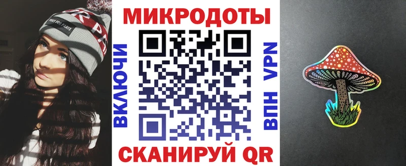 Псилоцибиновые грибы Psilocybine cubensis  Талдом 